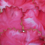 Heart-shaped cookie cutouts