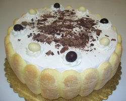 Tiramisu cake